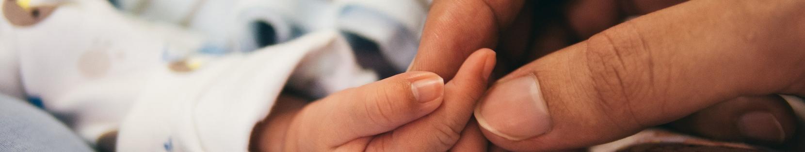 Directeur Bestuurder Bijzonder Zorgenkind